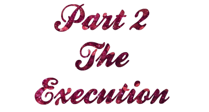 Part 2 Execution